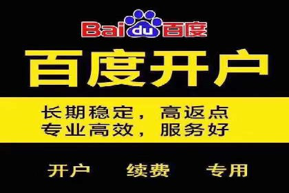 百度竞价价格策略解析，案例分享